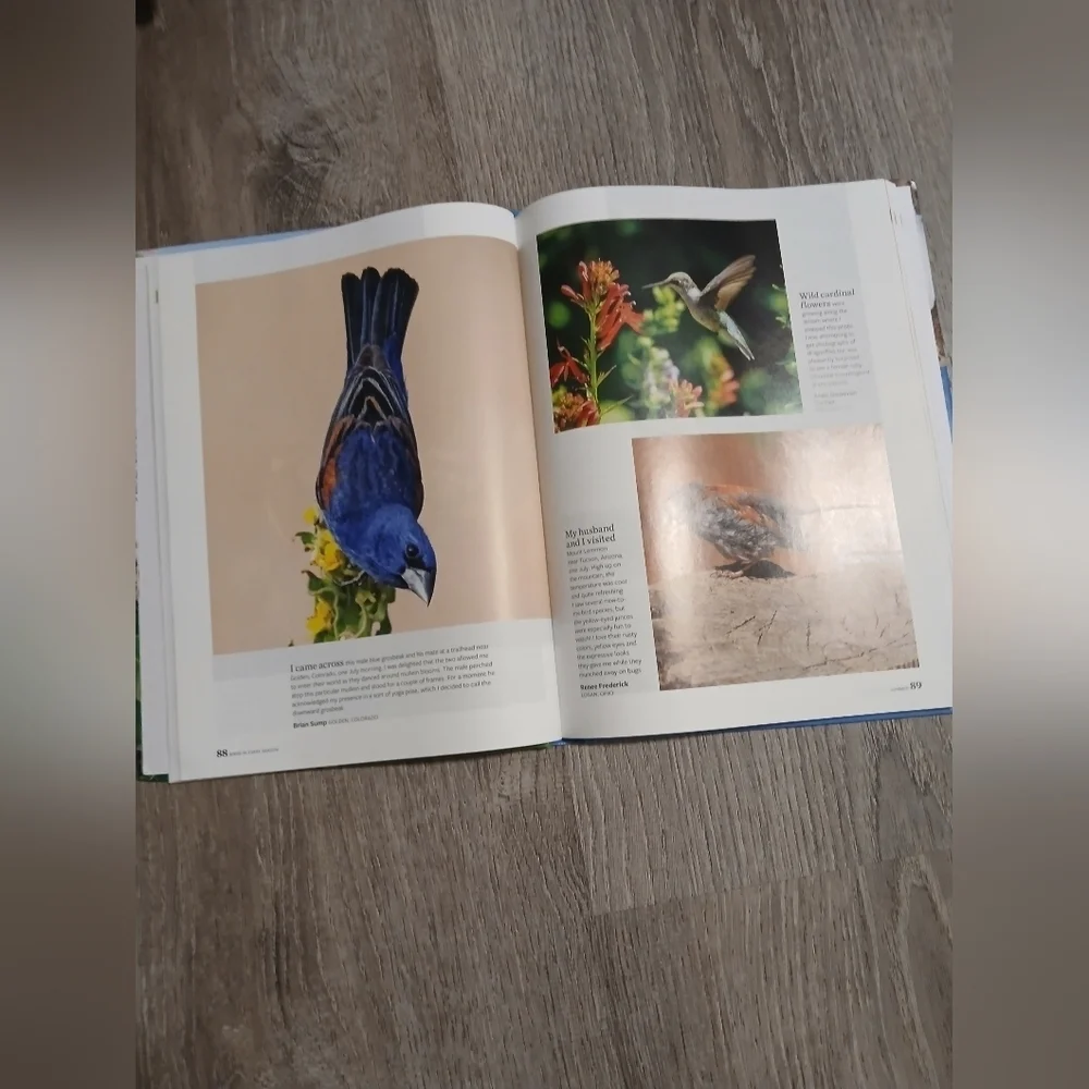 'Birds in Every Season' Book - By Birds And Bloom. 300+ Bird Photos.
